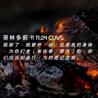 Picture 02 - 哥 林 多 前 书 11:24 CUVS - 祝 谢 了 ， 就 擘 开 ， 说 ： 这 是 - Bible Verse Picture