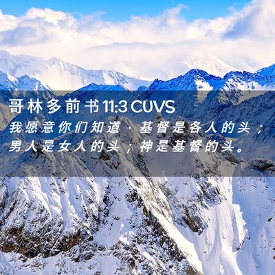 Picture 02 - 哥 林 多 前 书 11:3 CUVS - 我 愿 意 你 们 知 道 ， 基 督 是 各 - Bible Verse Picture