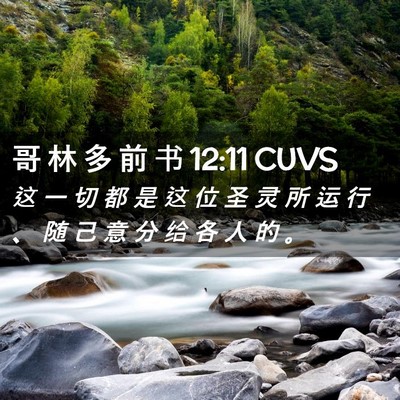 Picture 02 - 哥 林 多 前 书 12:11 CUVS - 这 一 切 都 是 这 位 圣 灵 所 运 行 - Bible Verse Picture