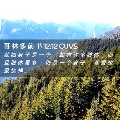 Picture 02 - 哥 林 多 前 书 12:12 CUVS - 就 如 身 子 是 一 个 ， 却 有 许 多 - Bible Verse Picture