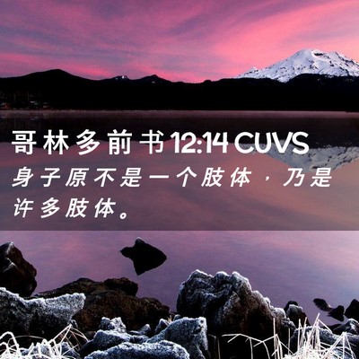 Picture 02 - 哥 林 多 前 书 12:14 CUVS - 身 子 原 不 是 一 个 肢 体 ， 乃 是 - Bible Verse Picture
