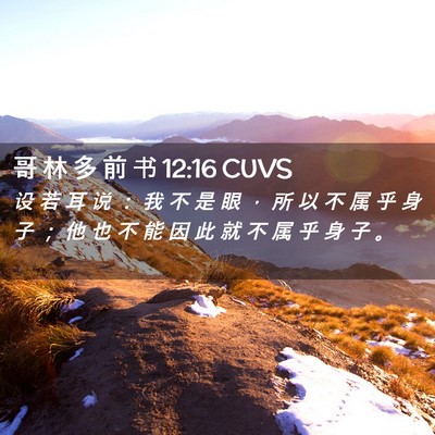 Picture 02 - 哥 林 多 前 书 12:16 CUVS - 设 若 耳 说 ： 我 不 是 眼 ， 所 以 - Bible Verse Picture