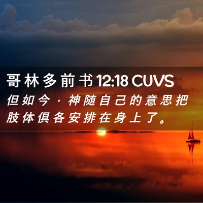 Picture 02 - 哥 林 多 前 书 12:18 CUVS - 但 如 今 ， 神 随 自 己 的 意 思 把 - Bible Verse Picture