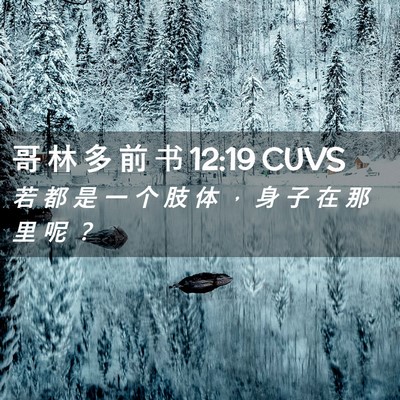 Picture 02 - 哥 林 多 前 书 12:19 CUVS - 若 都 是 一 个 肢 体 ， 身 子 在 那 - Bible Verse Picture
