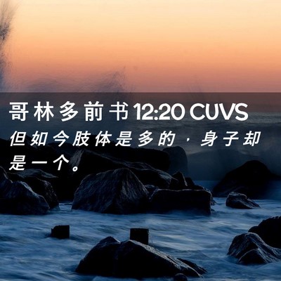 Picture 02 - 哥 林 多 前 书 12:20 CUVS - 但 如 今 肢 体 是 多 的 ， 身 子 却 - Bible Verse Picture