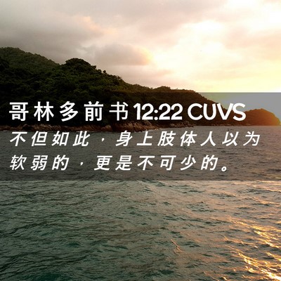 Picture 02 - 哥 林 多 前 书 12:22 CUVS - 不 但 如 此 ， 身 上 肢 体 人 以 为 - Bible Verse Picture