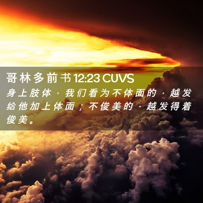 Picture 02 - 哥 林 多 前 书 12:23 CUVS - 身 上 肢 体 ， 我 们 看 为 不 体 面 - Bible Verse Picture