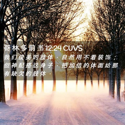 Picture 02 - 哥 林 多 前 书 12:24 CUVS - 我 们 俊 美 的 肢 体 ， 自 然 用 不 - Bible Verse Picture