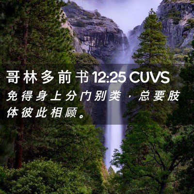 Picture 02 - 哥 林 多 前 书 12:25 CUVS - 免 得 身 上 分 门 别 类 ， 总 要 肢 - Bible Verse Picture