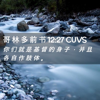 Picture 02 - 哥 林 多 前 书 12:27 CUVS - 你 们 就 是 基 督 的 身 子 ， 并 且 - Bible Verse Picture