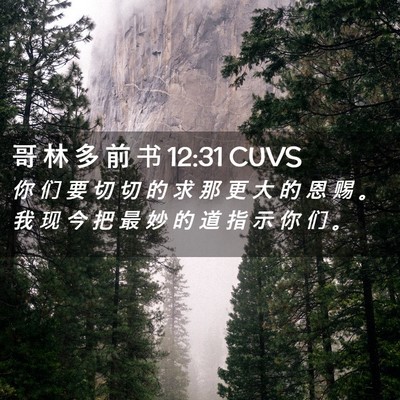 Picture 02 - 哥 林 多 前 书 12:31 CUVS - 你 们 要 切 切 的 求 那 更 大 的 恩 - Bible Verse Picture