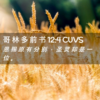 Picture 02 - 哥 林 多 前 书 12:4 CUVS - 恩 赐 原 有 分 别 ， 圣 灵 却 是 一 - Bible Verse Picture
