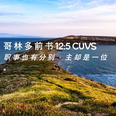 Picture 02 - 哥 林 多 前 书 12:5 CUVS - 职 事 也 有 分 别 ， 主 却 是 一 位 - Bible Verse Picture