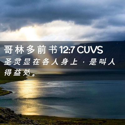 Picture 02 - 哥 林 多 前 书 12:7 CUVS - 圣 灵 显 在 各 人 身 上 ， 是 叫 人 - Bible Verse Picture