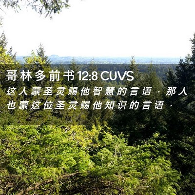 Picture 02 - 哥 林 多 前 书 12:8 CUVS - 这 人 蒙 圣 灵 赐 他 智 慧 的 言 语 - Bible Verse Picture
