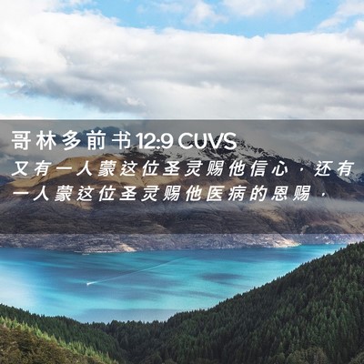 Picture 02 - 哥 林 多 前 书 12:9 CUVS - 又 有 一 人 蒙 这 位 圣 灵 赐 他 信 - Bible Verse Picture