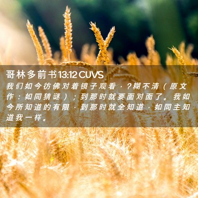 Picture 02 - 哥 林 多 前 书 13:12 CUVS - 我 们 如 今 彷 佛 对 着 镜 子 观 看 - Bible Verse Picture