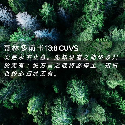 Picture 02 - 哥 林 多 前 书 13:8 CUVS - 爱 是 永 不 止 息 。 先 知 讲 道 之 - Bible Verse Picture