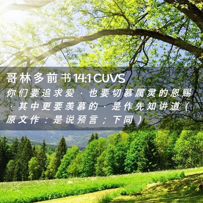 Picture 02 - 哥 林 多 前 书 14:1 CUVS - 你 们 要 追 求 爱 ， 也 要 切 慕 属 - Bible Verse Picture