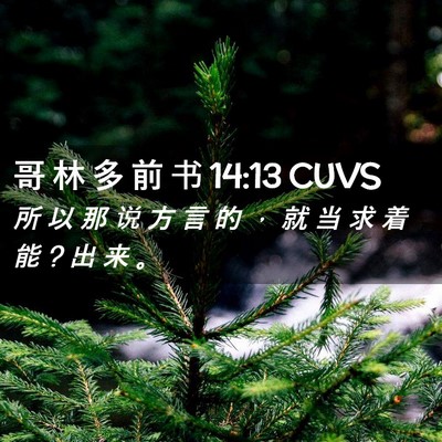 Picture 02 - 哥 林 多 前 书 14:13 CUVS - 所 以 那 说 方 言 的 ， 就 当 求 着 - Bible Verse Picture