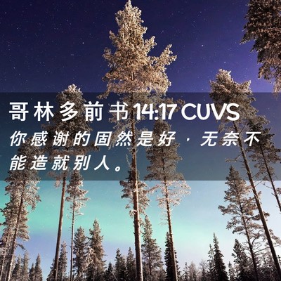 Picture 02 - 哥 林 多 前 书 14:17 CUVS - 你 感 谢 的 固 然 是 好 ， 无 奈 不 - Bible Verse Picture