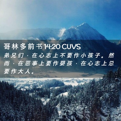 Picture 02 - 哥 林 多 前 书 14:20 CUVS - 弟 兄 们 ， 在 心 志 上 不 要 作 小 - Bible Verse Picture