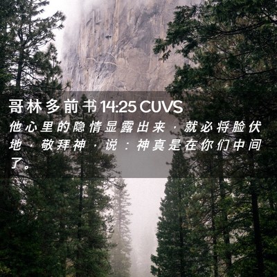 Picture 02 - 哥 林 多 前 书 14:25 CUVS - 他 心 里 的 隐 情 显 露 出 来 ， 就 - Bible Verse Picture