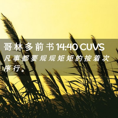 Picture 02 - 哥 林 多 前 书 14:40 CUVS - 凡 事 都 要 规 规 矩 矩 的 按 着 次 - Bible Verse Picture