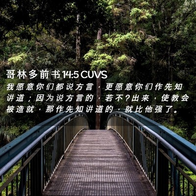 Picture 02 - 哥 林 多 前 书 14:5 CUVS - 我 愿 意 你 们 都 说 方 言 ， 更 愿 - Bible Verse Picture