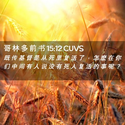 Picture 02 - 哥 林 多 前 书 15:12 CUVS - 既 传 基 督 是 从 死 里 复 活 了 ， - Bible Verse Picture