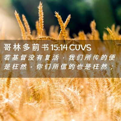 Picture 02 - 哥 林 多 前 书 15:14 CUVS - 若 基 督 没 有 复 活 ， 我 们 所 传 - Bible Verse Picture