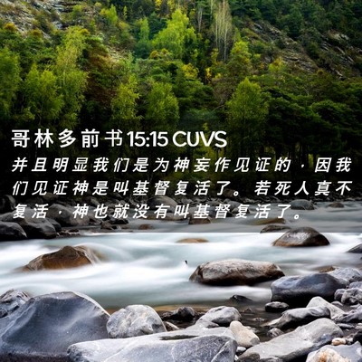 Picture 02 - 哥 林 多 前 书 15:15 CUVS - 并 且 明 显 我 们 是 为 神 妄 作 见 - Bible Verse Picture
