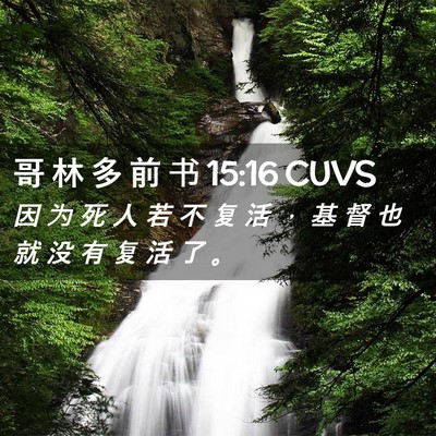 Picture 02 - 哥 林 多 前 书 15:16 CUVS - 因 为 死 人 若 不 复 活 ， 基 督 也 - Bible Verse Picture