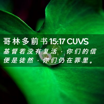 Picture 02 - 哥 林 多 前 书 15:17 CUVS - 基 督 若 没 有 复 活 ， 你 们 的 信 - Bible Verse Picture