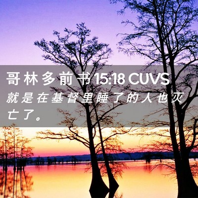 Picture 02 - 哥 林 多 前 书 15:18 CUVS - 就 是 在 基 督 里 睡 了 的 人 也 灭 - Bible Verse Picture