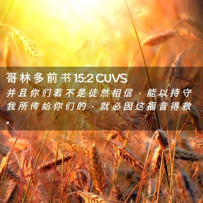 Picture 02 - 哥 林 多 前 书 15:2 CUVS - 并 且 你 们 若 不 是 徒 然 相 信 ， - Bible Verse Picture