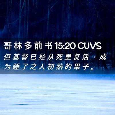 Picture 02 - 哥 林 多 前 书 15:20 CUVS - 但 基 督 已 经 从 死 里 复 活 ， 成 - Bible Verse Picture