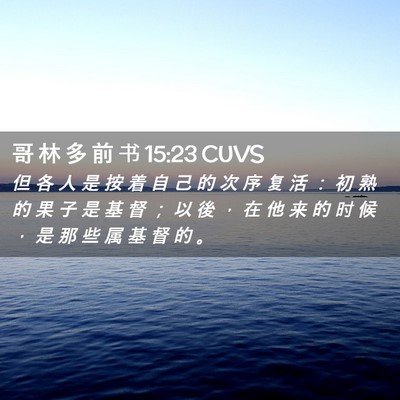 Picture 02 - 哥 林 多 前 书 15:23 CUVS - 但 各 人 是 按 着 自 己 的 次 序 复 - Bible Verse Picture