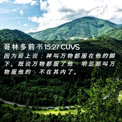 Picture 02 - 哥 林 多 前 书 15:27 CUVS - 因 为 经 上 说 ： 神 叫 万 物 都 服 - Bible Verse Picture