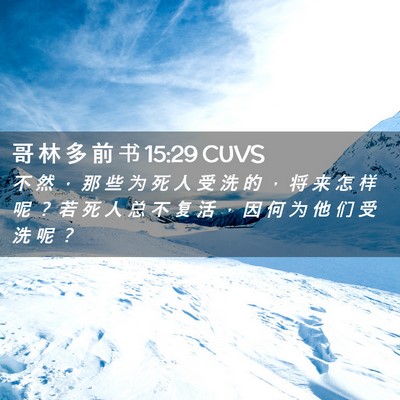 Picture 02 - 哥 林 多 前 书 15:29 CUVS - 不 然 ， 那 些 为 死 人 受 洗 的 ， - Bible Verse Picture