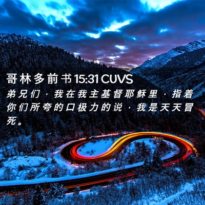 Picture 02 - 哥 林 多 前 书 15:31 CUVS - 弟 兄 们 ， 我 在 我 主 基 督 耶 稣 - Bible Verse Picture