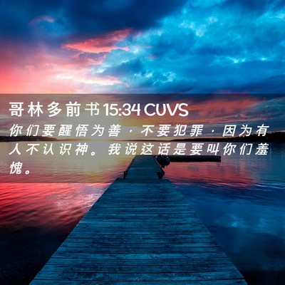 Picture 02 - 哥 林 多 前 书 15:34 CUVS - 你 们 要 醒 悟 为 善 ， 不 要 犯 罪 - Bible Verse Picture