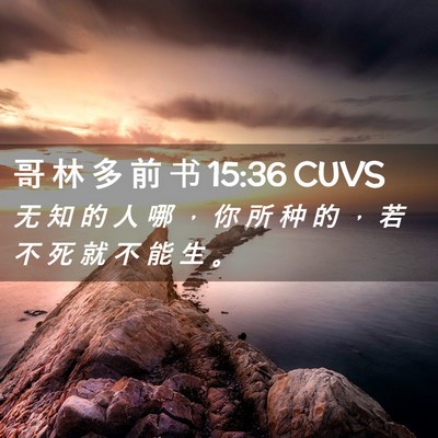 Picture 02 - 哥 林 多 前 书 15:36 CUVS - 无 知 的 人 哪 ， 你 所 种 的 ， 若 - Bible Verse Picture