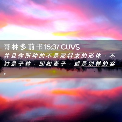 Picture 02 - 哥 林 多 前 书 15:37 CUVS - 并 且 你 所 种 的 不 是 那 将 来 的 - Bible Verse Picture