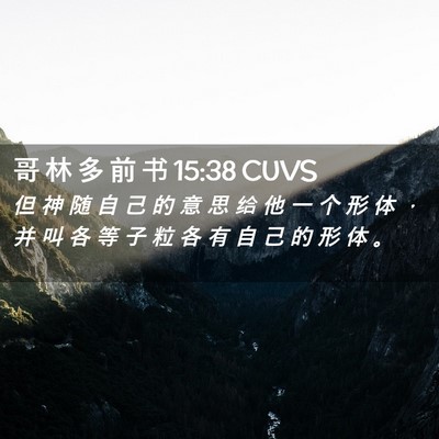 Picture 02 - 哥 林 多 前 书 15:38 CUVS - 但 神 随 自 己 的 意 思 给 他 一 个 - Bible Verse Picture