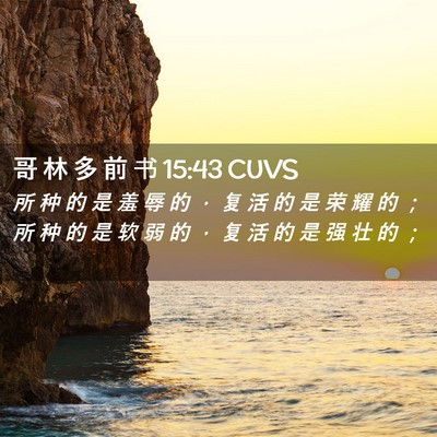 Picture 02 - 哥 林 多 前 书 15:43 CUVS - 所 种 的 是 羞 辱 的 ， 复 活 的 是 - Bible Verse Picture