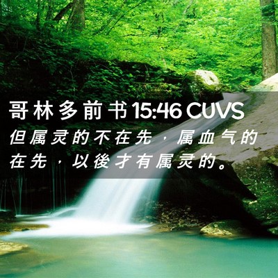 Picture 02 - 哥 林 多 前 书 15:46 CUVS - 但 属 灵 的 不 在 先 ， 属 血 气 的 - Bible Verse Picture