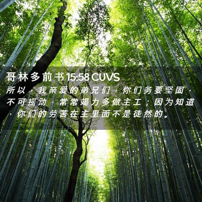 Picture 02 - 哥 林 多 前 书 15:58 CUVS - 所 以 ， 我 亲 爱 的 弟 兄 们 ， 你 - Bible Verse Picture