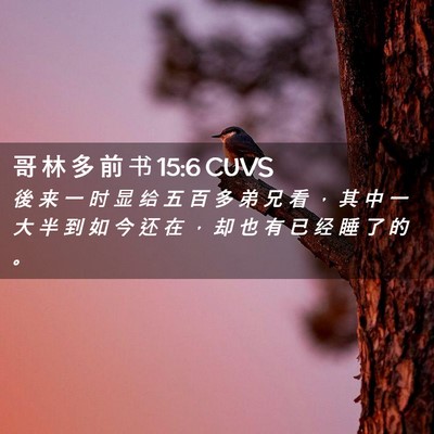Picture 02 - 哥 林 多 前 书 15:6 CUVS - 後 来 一 时 显 给 五 百 多 弟 兄 看 - Bible Verse Picture