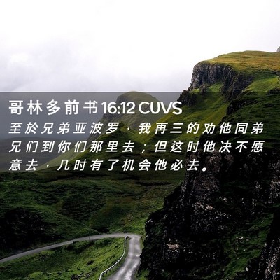 Picture 02 - 哥 林 多 前 书 16:12 CUVS - 至 於 兄 弟 亚 波 罗 ， 我 再 三 的 - Bible Verse Picture